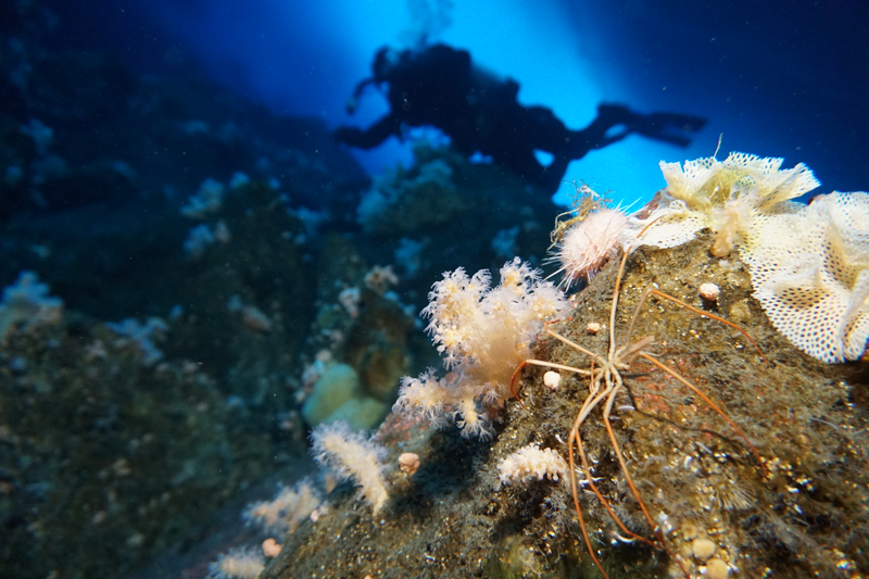 Image: Timothy R. Dwyer (PolarTREC 2016), Courtesy of ARCUS